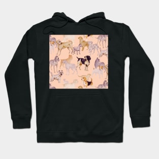 Dog and Pastel Color Hoodie